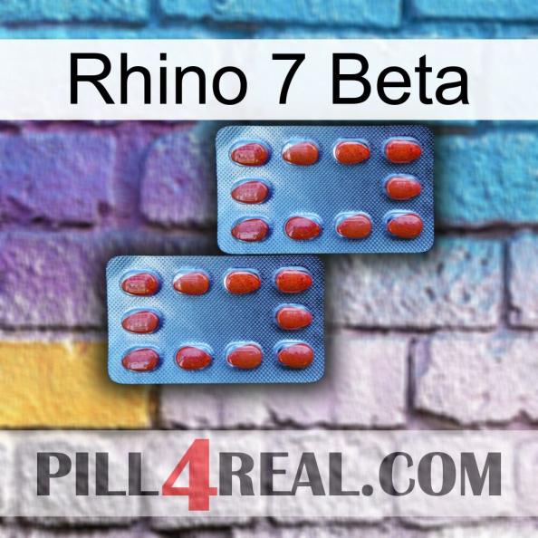 Rhino 7 Beta 05.jpg